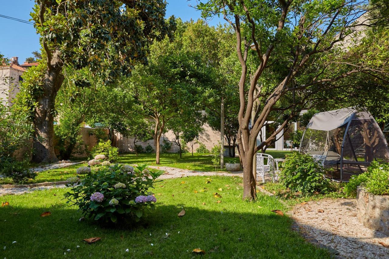 Apartment Villa Ahava Buza Dubrovnik Ngoại thất bức ảnh